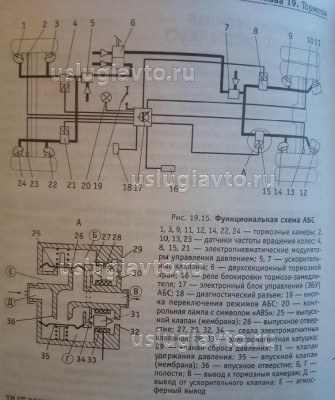 схема ЛИАЗ 5256.jpg