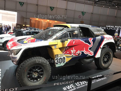 Peugeot 3008 DKR_1.JPG