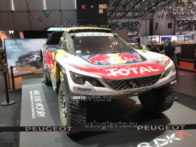 Peugeot 3008 DKR_2.JPG