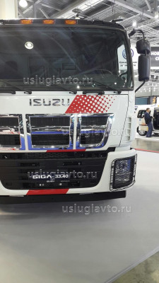 Isuzu Решетки на фарах.jpg