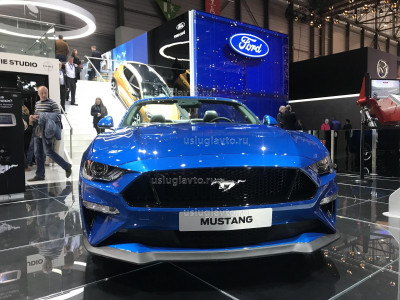 Ford Mustang (2).JPG