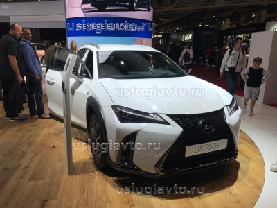 Lexus UX 250h.jpg