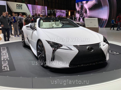 LEXUS.jpg