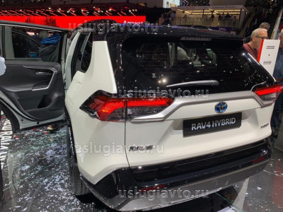 RAV 4.jpg